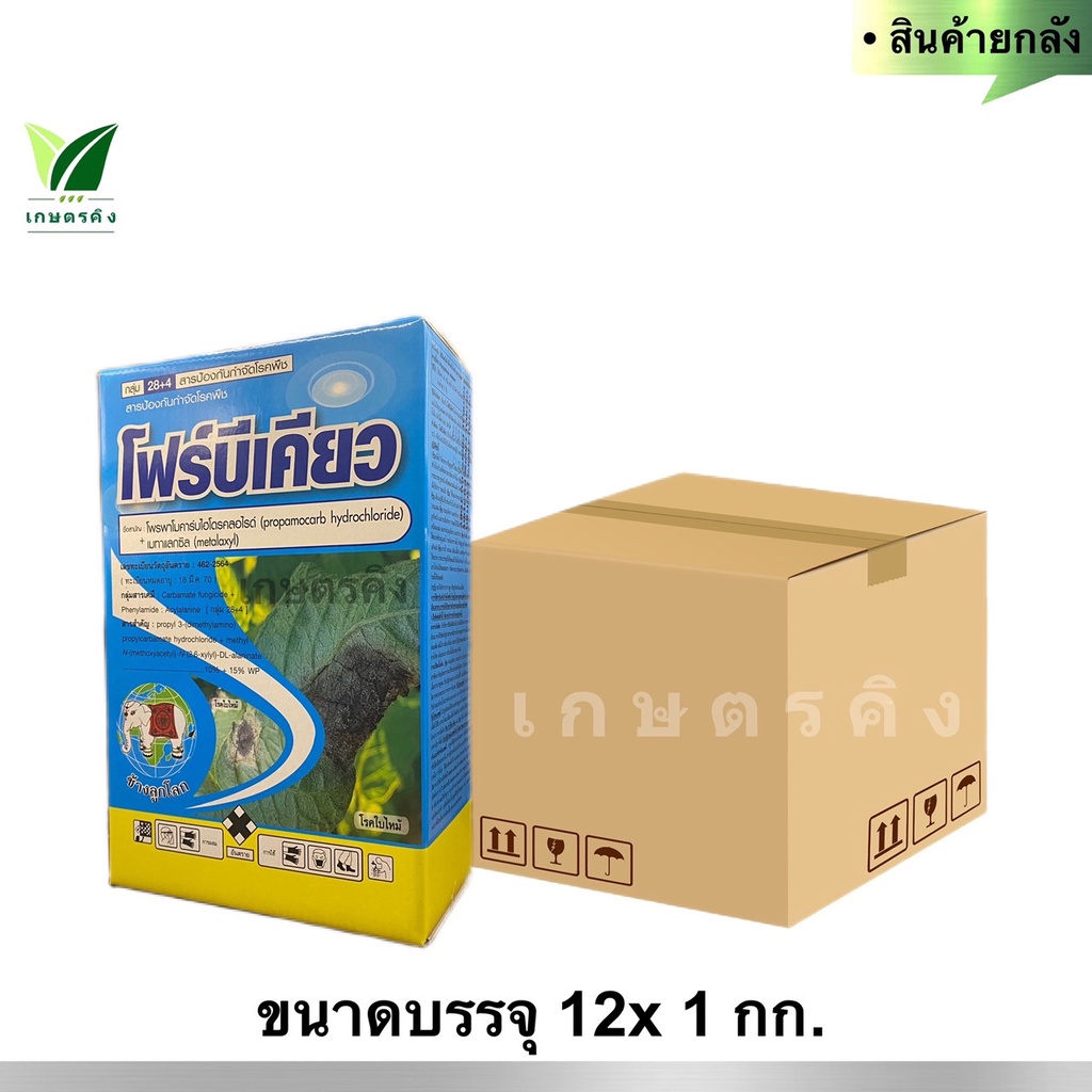 My Image 15