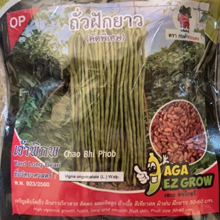 เมล็ดพันธ์ุถั่วฝักยาวพันธ์ุเจ้าพิภพ