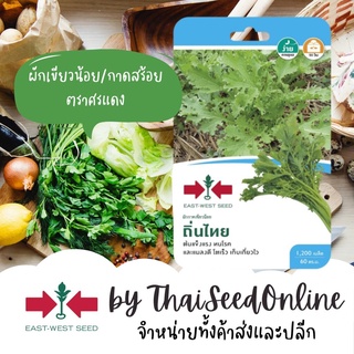 GGEW เมล็ดพันธุ์ซฟ เขียวน้อย กาดสร้อย ถิ่นไทย 1200เมล็ด ตราศรแดง Leaf Mustard