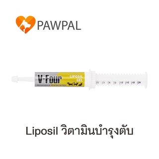 V-Four Liposil Gel 21 g วีโฟร์ ไลโปซิล เจล อาหารเสริม วิตามิน บำรุงตับ สุนัข แมว Liver supplementdogs cats