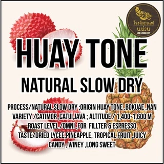 Nan Coffee Roastery เมล็ดกาแฟพิเศษน่านบ้านห้วยโทน Natural Slow Dry Process OmniRoast Forf Filllter