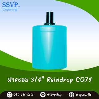 ฝาครอบ PVC ขนาด 3/4" พข้อมข้อต่อหัวจ่ายน้ำมินิสปริงเกอร์ รุ่น CO75 บรรจุ 50 ตัว