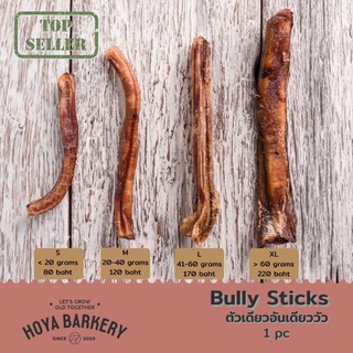 ใหม่มาแรง ✨Bully Sticks dog treats ตัวเดียวอันเดียววัวอบแห้ง ขนมน้องหมา มีหลายขนาด Hoya Barkery