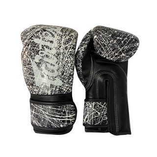 Fairtex Boxing Gloves BGV14 KOREAN Painter