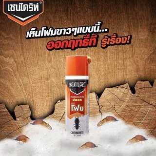 เชนไดร้ท์ โฟม Chaindrite Form ผลิตภัณฑ์กำจัดปลวก แมลงสาบ มด แบบเนื้อโฟม ขนาด 250 ml.