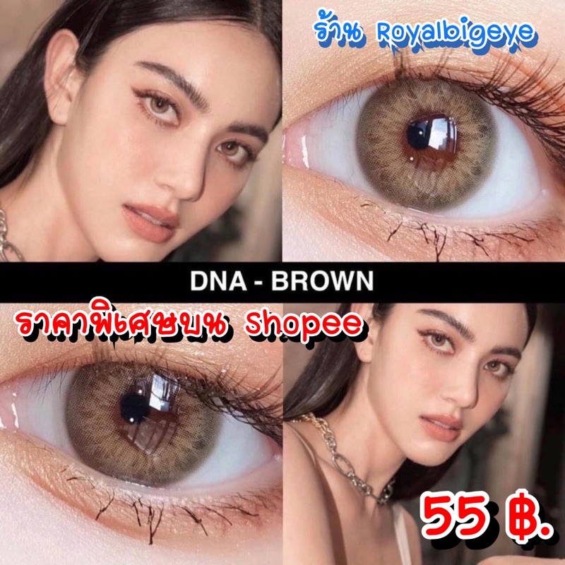 ส่งด่วนทุกวัน‼️คอนแทคเลนส์ DNA Gray - Wink Lens สีเทาขนาดมินิ มีสายตาถึง -10.00