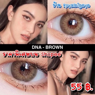 คอนแทคเลนส์ 🎀DNA Brown🎀(Wink Lens)[มีค่าสายตาสั้นถึง 700]💝สีน้ำตาลขนาดมินิ 💝 เซ็กซี่ปังขายดี