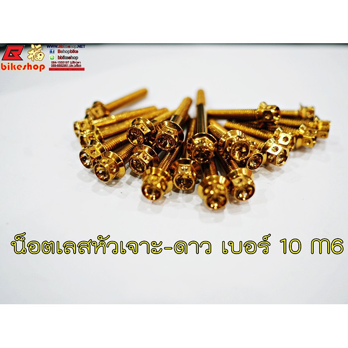 น็อตหัวเจาะดาว เบอร์ 10 M6 เลสทอง ราคาต่อตัว) #การันตีราคาถูก