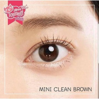 🦄🌈(0.00-5.00)Kitty Kawaii Mini Cleen(Clean) brown สวยเนียนธรรมชาติ มีปลายทาง