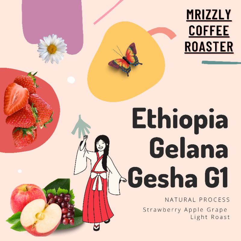 Ethiopia Gelana Gesha G1
