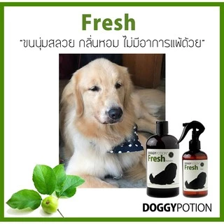 Doggy Potion Fresh Shampoo 500ml&2000ml