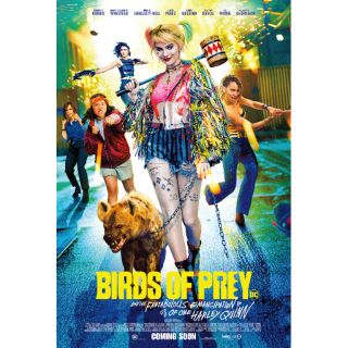 Poster Birds of prey