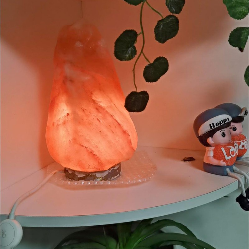 หลอดไฟทังสเตน Ac 220V E12 E14 7W 10W 15W 25W สําหรับตกแต่งตู้เย็น - รูปที่ 2