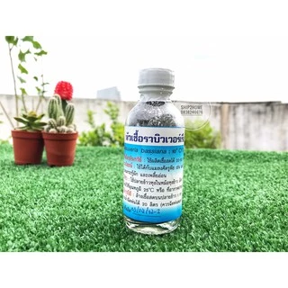หัวเชื้อราบิวเวอร์เรีย 30กรัม (ผลิตเชื้อสดได้ 20-50 kg) มีคู่มือวิธีขยายเชื้อให้