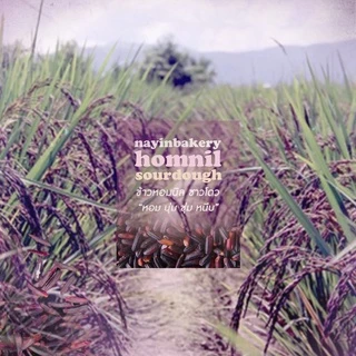 Nayimbakery Homnil Organic Sourdough น้ำหนัก 380 g.