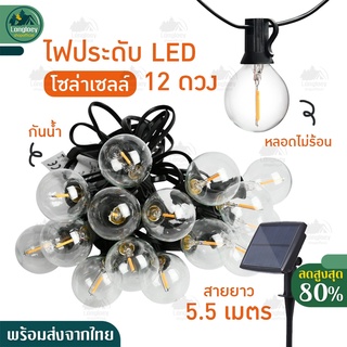 พร้อมส่งจากไทย ไฟแคมป์ ไฟตกแต่ง โซล่าเซลล์ ไฟแก้ว LED ไฟกันน้ำ ไฟผึ้งโซล่าเซลล์ ไฟตกแต่งห้อง ไฟคริสมาส