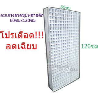 ส่งฟรี แพ็ค 10 แผง ตะแกรง ลวดชุบพลาสติก ขนาด 60x120 ซม.