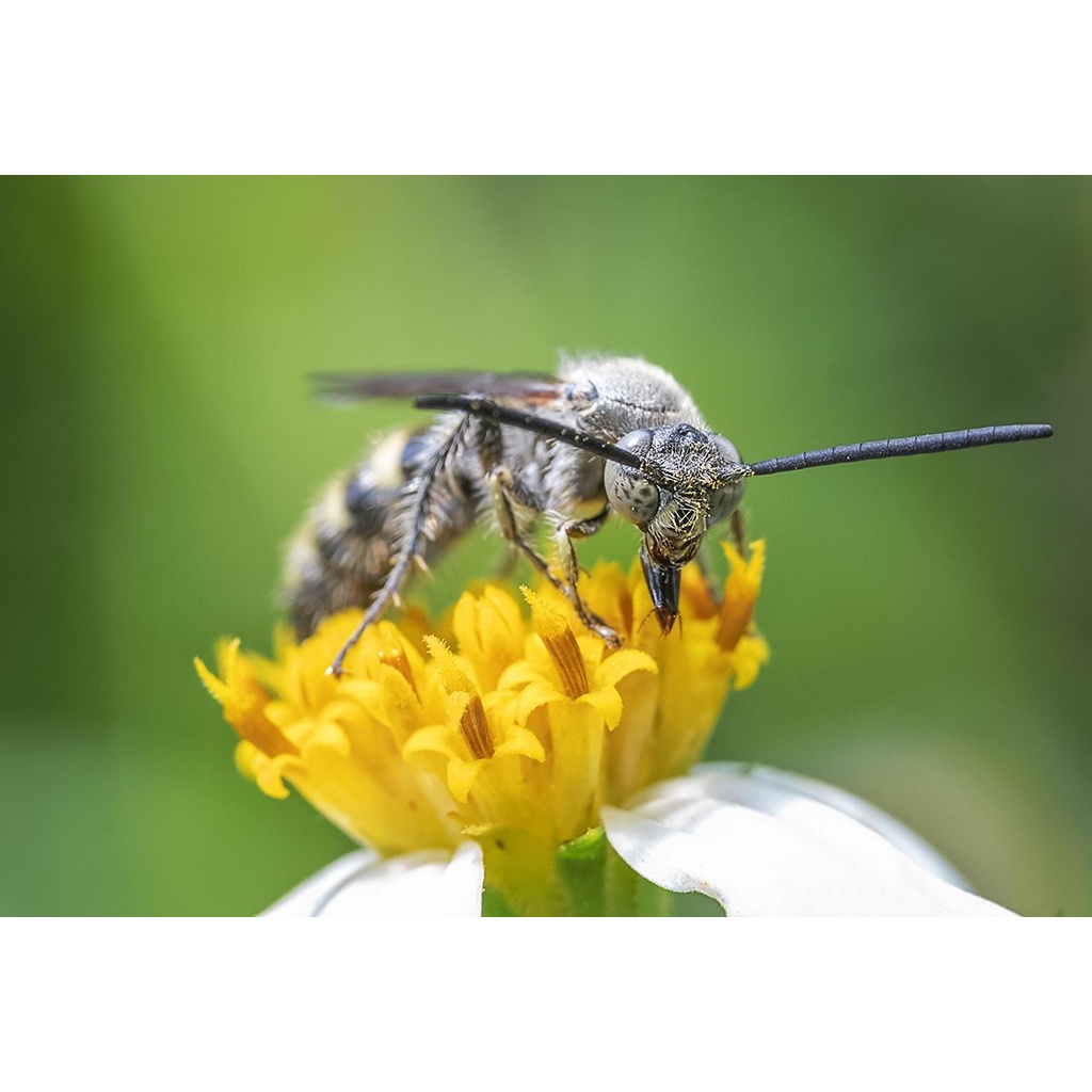 รูปภาพ 6