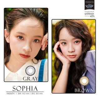 Angel Zone คอนแทคเลนส์ รุ่น 14.2 Sophia Gray/Brown (รองรับสายตาปกติและสายตาสั้น -0.50 ถึง -6.00)