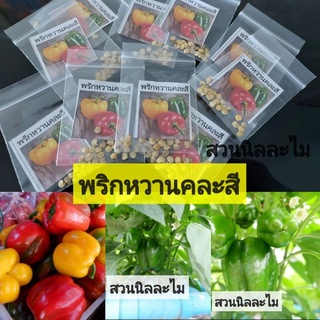 เมล็ดพันธุ์พริกหวานคละสี (มีเก็บเงินปลายทาง)