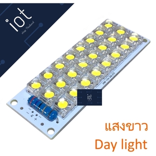 DC 12V 24-LED Super Bright White Piranha LED แสงขาว