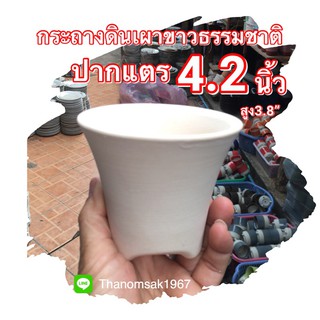 กระถางดินเผาปากแตรสามขา4.2”ยกโหล