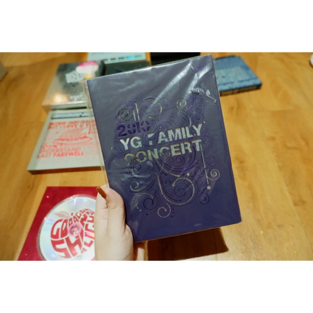 YG FAMILY 2010 CONCERT DVD