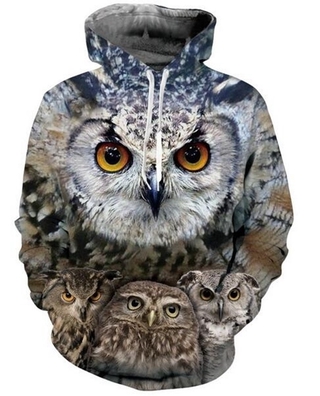 Newest Fashion Women/mens 3D Print  Funny Owl  Hoodies/hooded Sweatshirts