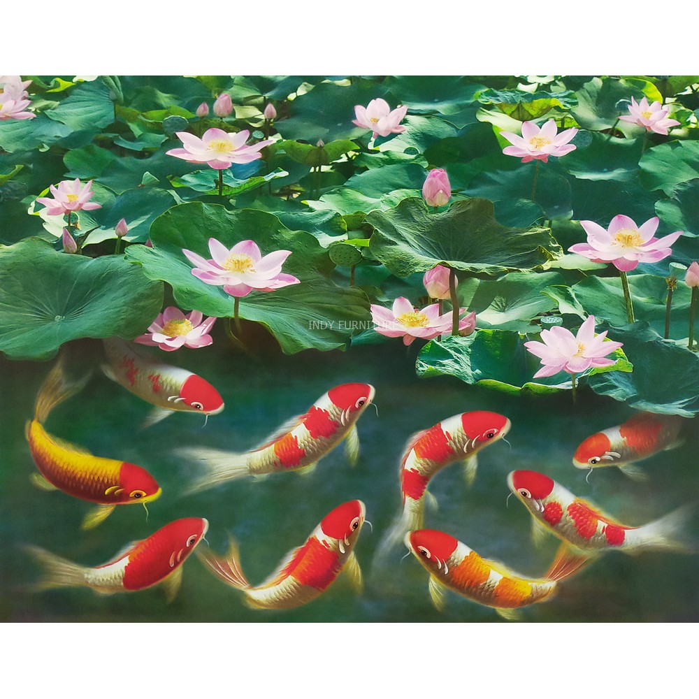 My Image 22