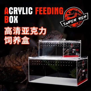 กล่องพลาสติกสัตว์เลี้ยง Superrep reptile กล่องให้อาหารอะคริลิค PET BOX Spider GUARD Palace มุมกบด้วง silkworm เด็กงูปีนก