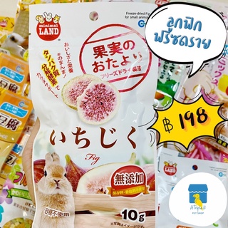 Marukan มารุคัง ลูกฟิก ฟรีซดราย 10g นำเข้าจากญี่ปุ่น ML143