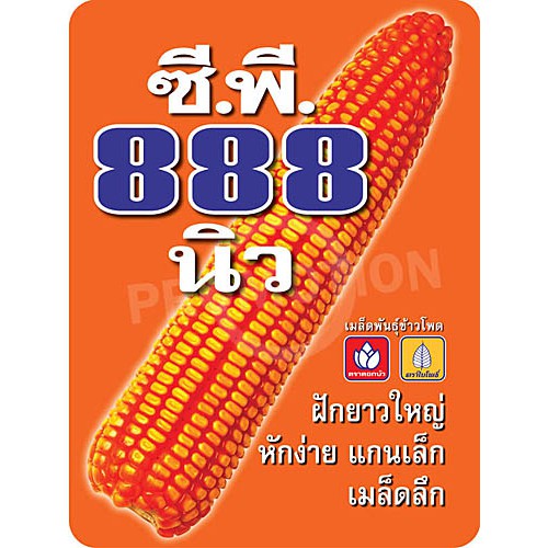 เมล็ดข้าวโพดเลี้ยงสัตว์ cp888 ผลผลิตสูง ขนาด10กิโลกรัม สินค้ามีพร้อมส่ง