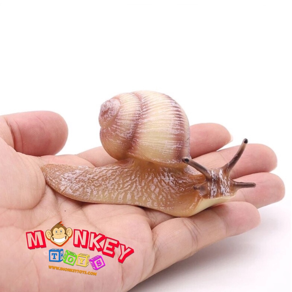 Monkey Toys โมเดลสัตว์ Snail หอยทาก ครีม ขนาด 9.10 CM (จากหาดใหญ่)