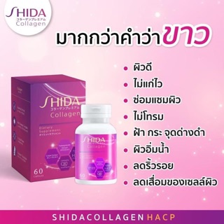 กลูต้าชิดะ Shidaกลูต้าไธโอน อีก 1 สารสกัด Shida Collagen HACP ✅ 1 กระปุก 60 Capsule