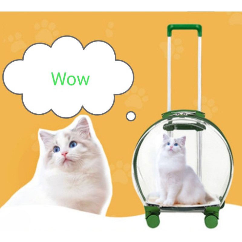 กระเป๋ารถเข็สใส่แมวรถเข็นแมวหมาโปร่งใส