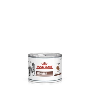 Royal Canin VET Cat [ 1 กระป๋อง ] Recovery อาหารสัตว์ป่วย สัตว์ป่วย พักฟื้น 195 g