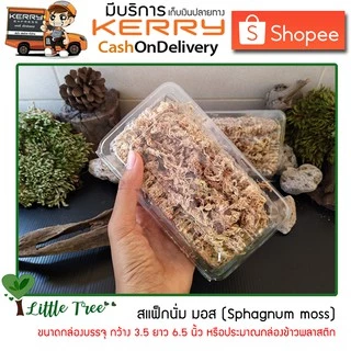 สแฟ็กนั่มมอส แบ่งขาย Sphagnum moss บรรจุกล่องขนาดและปริมาณของสินค้าตามที่ระบุไว้ อ่านก่อนสั่งซื้อ