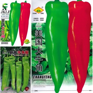 เมล็ด พริกยักษ์ 3 - 4.5 กรัม (300-450เมล็ด) Big Jim Giant Pepper พริกเขาวัว/พริกเขาแพะ  สายพันธุ์ OP