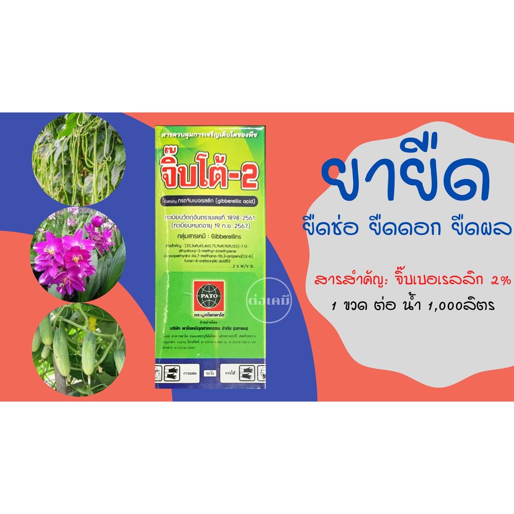 ยายืด จิ๊บโต้ -2 กรดจิบเบอร์เรลลิค แอซิด 2% (Gibberellic Acid ) ยายืดช่อดอก ยืดรวงข้าว ยืดต้นกล้า ขนาด 100 ซีซี