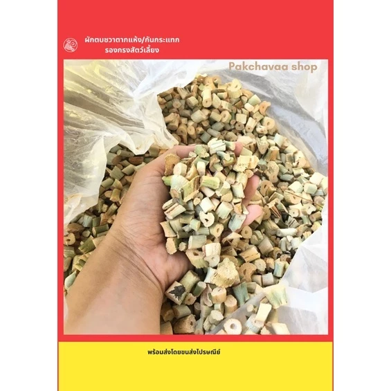 พร้อมส่ง! ผักตบชวาตากแห้ง ผักตบชวากันกระแทก ผักตบชวารองกรงสัตว์เลี้ยง ผักตบชวาแห้ง ผักตบชวาท่อน thumbnail 3