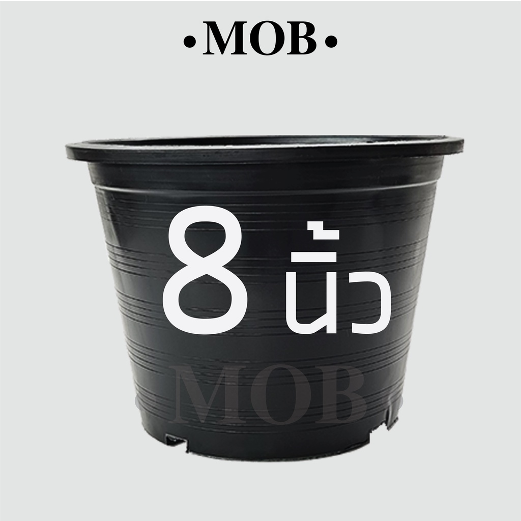 MOB กระถางต้นไม้ พลาสติก 8 นิ้ว กระถางดำ ราคาถูก สีดำ