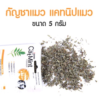 ผงแคทนิปแมว Cat Nip ตำแยแมว กัญชาแมว Cat Mint