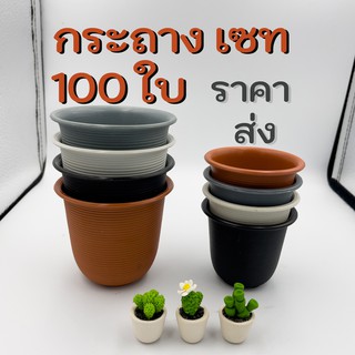 กระถางแคคตัส ทรงกลม ขนาด 2.5 และ 3.5 นิ้ว สี ขาว, ดำ, เทา, อิฐ  ราคาส่ง 100 ใบ