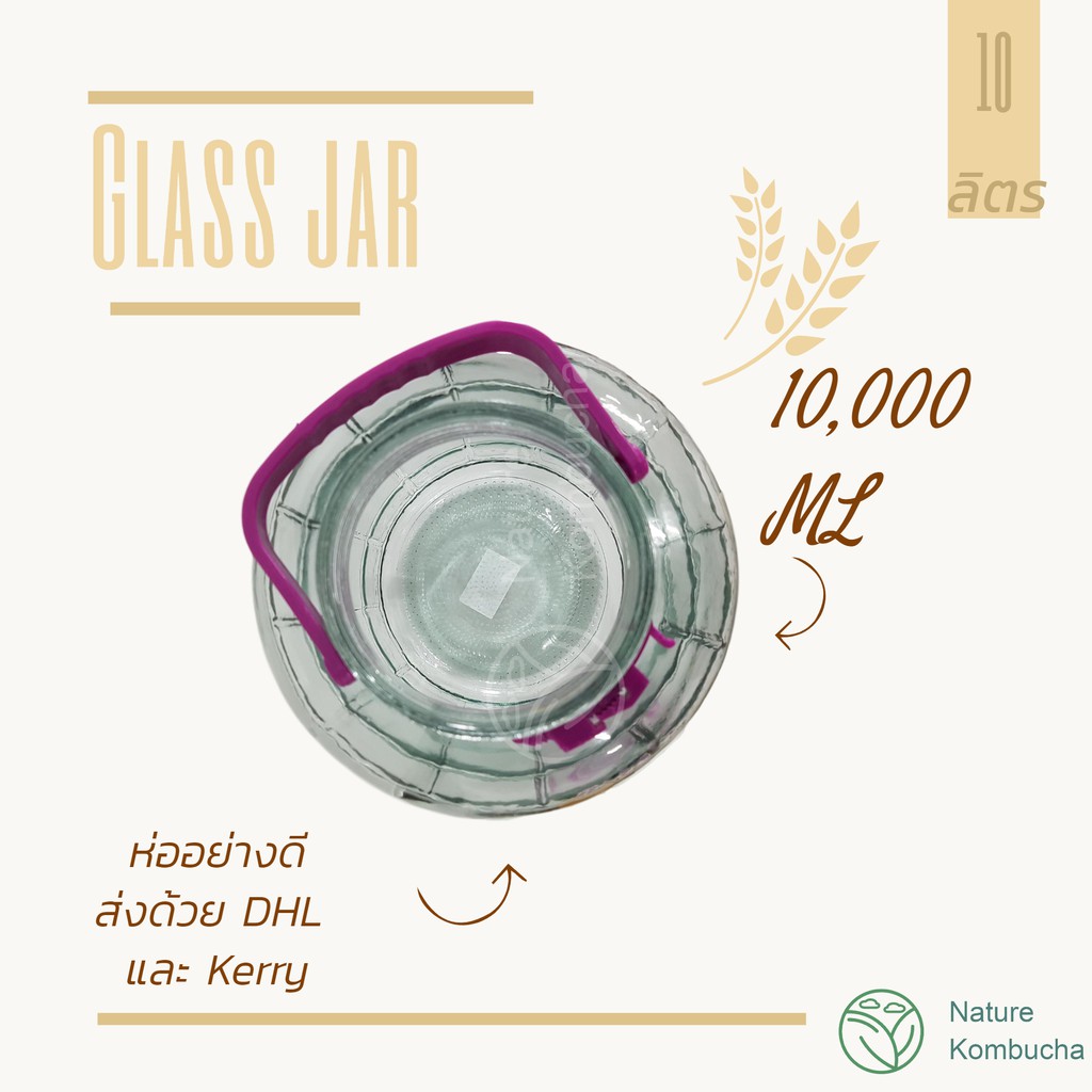 โหลแก้ว 8-10 ลิตร ดองบ๊วย ดองเหล้าบ๊วย คอมบูชา หมักดอง หนาคุณภาพ  | 8-10 Liter Glas JarKombucha brewing| Nature Kombucha