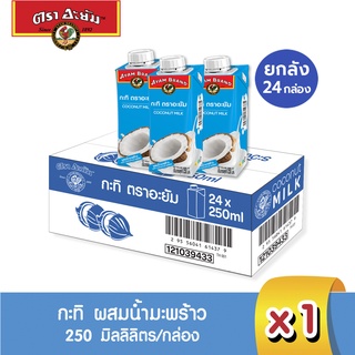 อะยัม กะทิ ผสมน้ำมะพร้าว 250 มิลลิลิตร (ยกลัง 24 กล่อง)