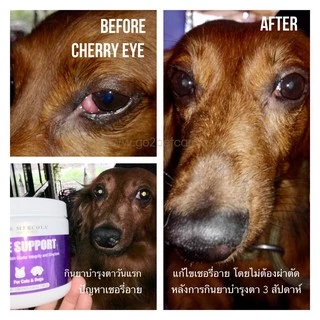 Vet Promise Eye Health Pets 30 Chews บำรุงตาสุนัขแมว ลดอาการตาแห้ง ลดปัญหาสุนัขตาขุ่นฝ้า เชอรี่อายสุนัขแมว