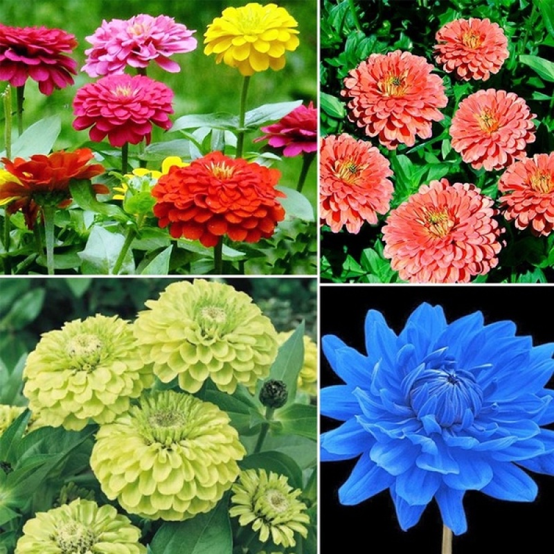 My Image 24