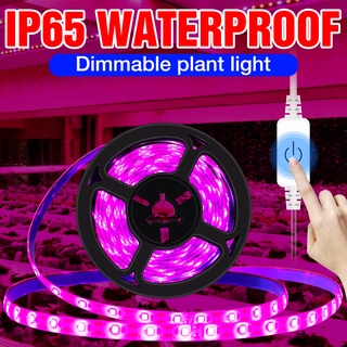 USB Touch Dimming Seed Plant Grow Lamp LED Full Spectrum Growing Light Strip 0.5M 1M 2M 3M Greenhouse Flower Seedling Lamp