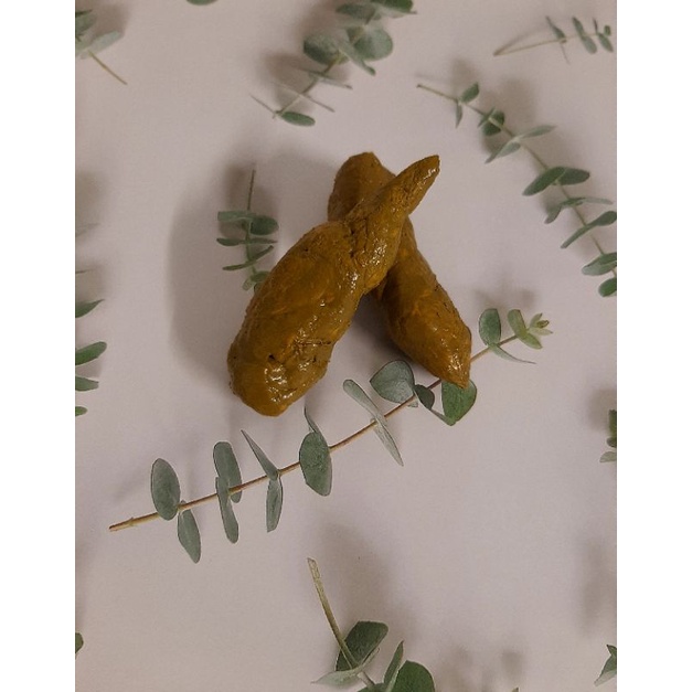 อึปลอม ขี้ปลอม เหมือนจริง ของเล่นทำจากยางพารา😄