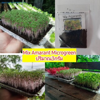เมล็ดผักไมโครกรีนMix Amaranth ปริมาณ3กรัม(มีเก็บเงินปลายทาง)